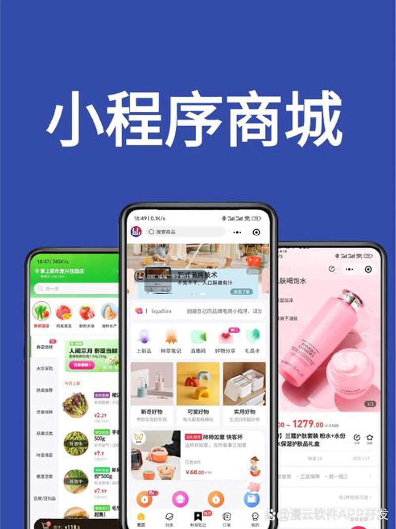 小程序开发: 新商业模式的催化剂